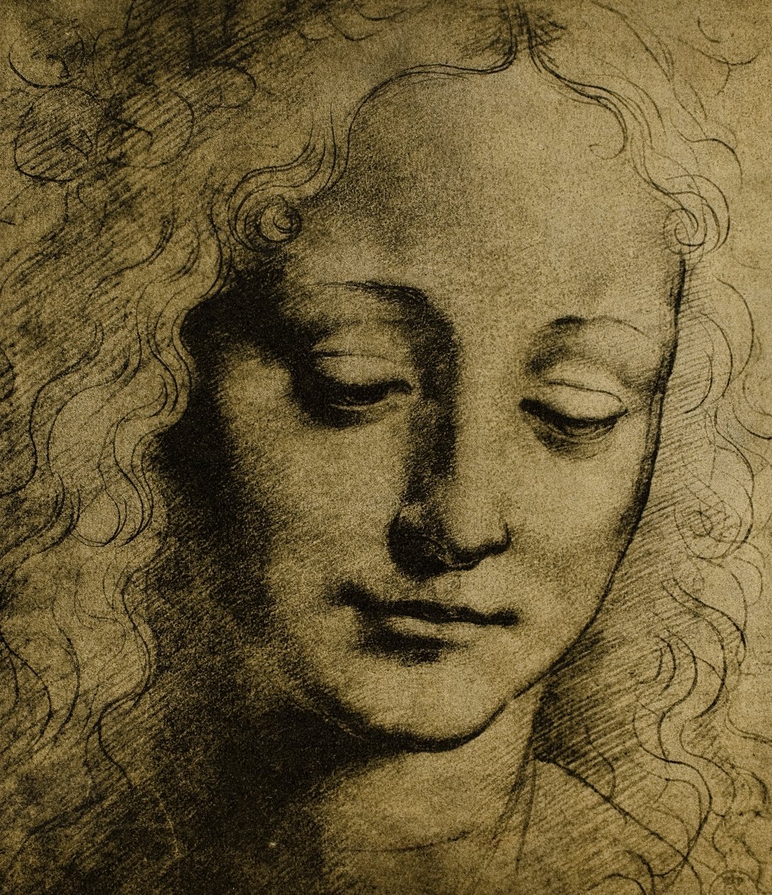 Gençlik başı; Leonardo da Vinci