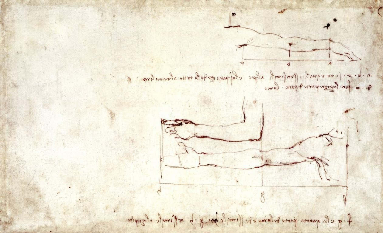 kol by Leonardo da Vinci