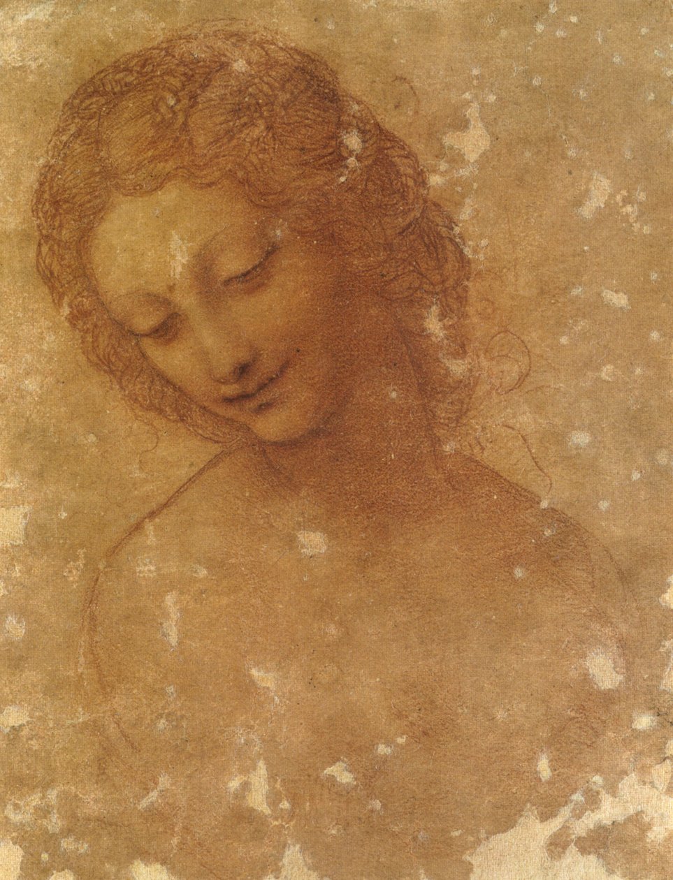 leda başkanı, sforzesco kalesi by Leonardo da Vinci