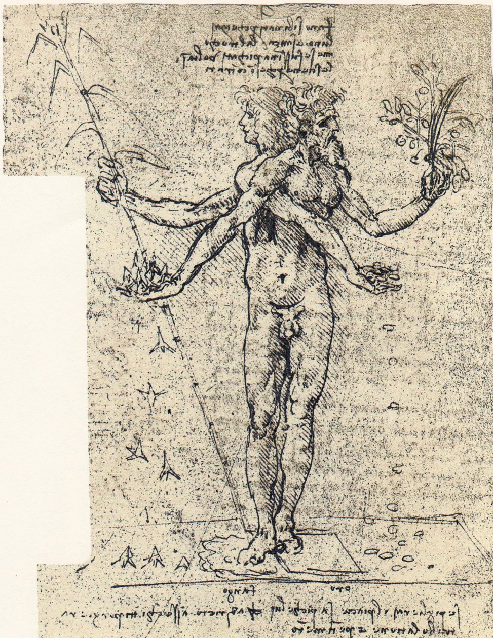 iki başlı androjen cisimciğinin bilinmeyen çizimi by Leonardo da Vinci