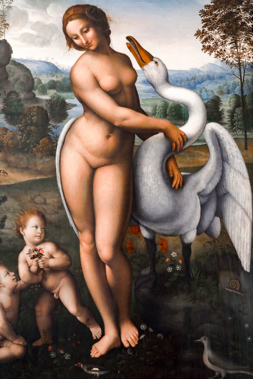 Leda ve Kuğu, Tuval üzerine yağlı boya by Leonardo da (after) Vinci