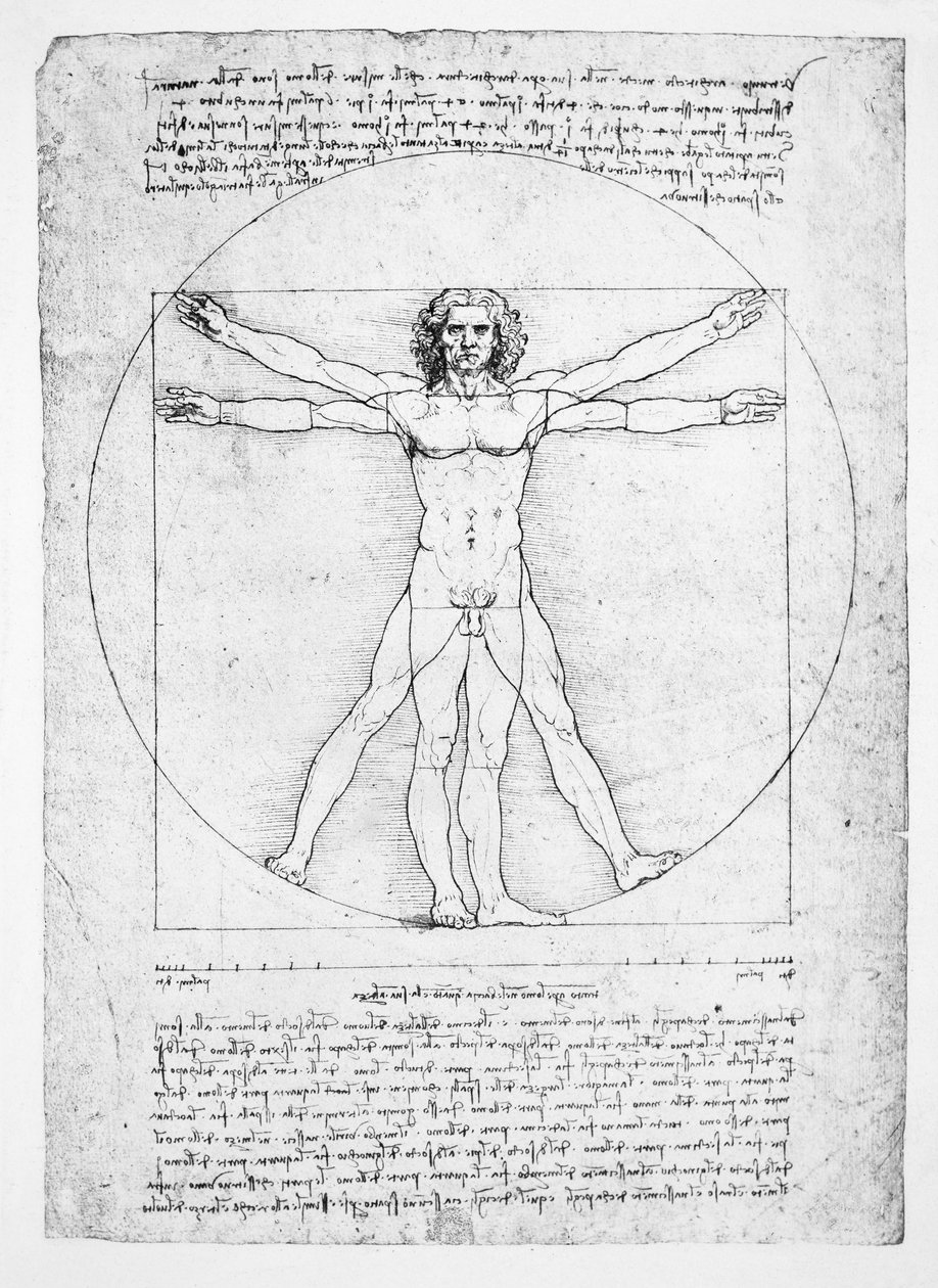 İnsan figürünün Oranları (Vitruvius