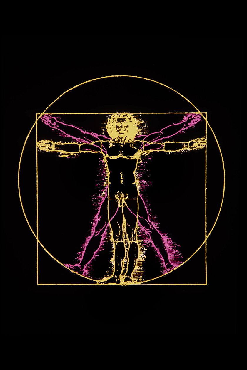 Vitruvius Adamı, Leonardo da Vinci, 1970 dolayları by Leonardo da (after) Vinci
