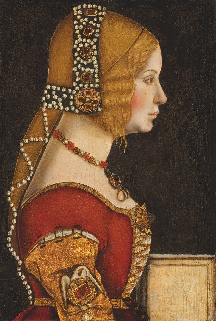  by Leonardo da (circle of) Vinci