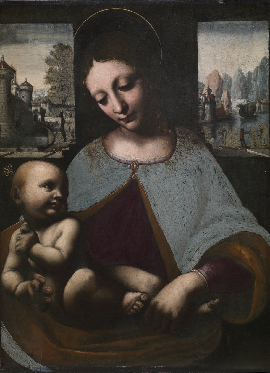 Bakire ve Çocuk, c. 1500 (ahşap üzerine yağlıboya) by Leonardo da (circle of) Vinci
