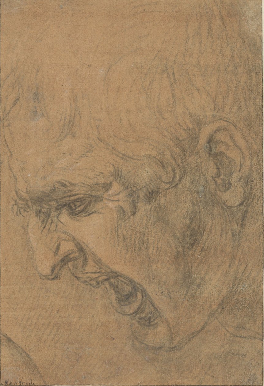 Çığlık atan bir adamın başı by Leonardo da (follower of) Vinci