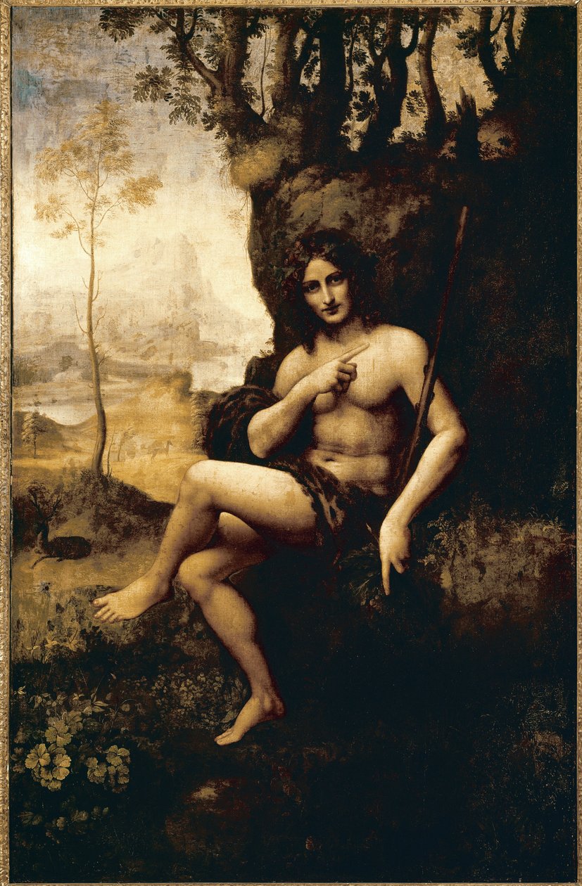 Bacchus (tuval üzerine aktarılmış yağ by Leonardo da (studio of) Vinci