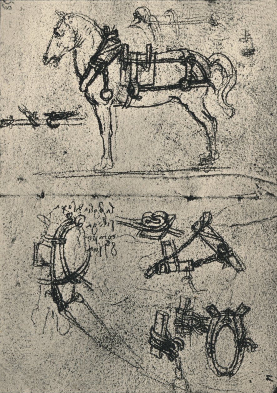 Harnessed Cart-At ve Harness Çalışmaları, c1480 1945 by Leonardo da Vinci