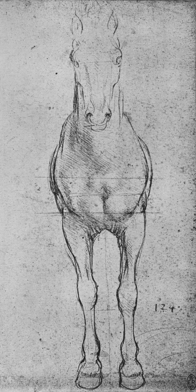 Önden Görülen Bir At, c1480 1945 by Leonardo da Vinci