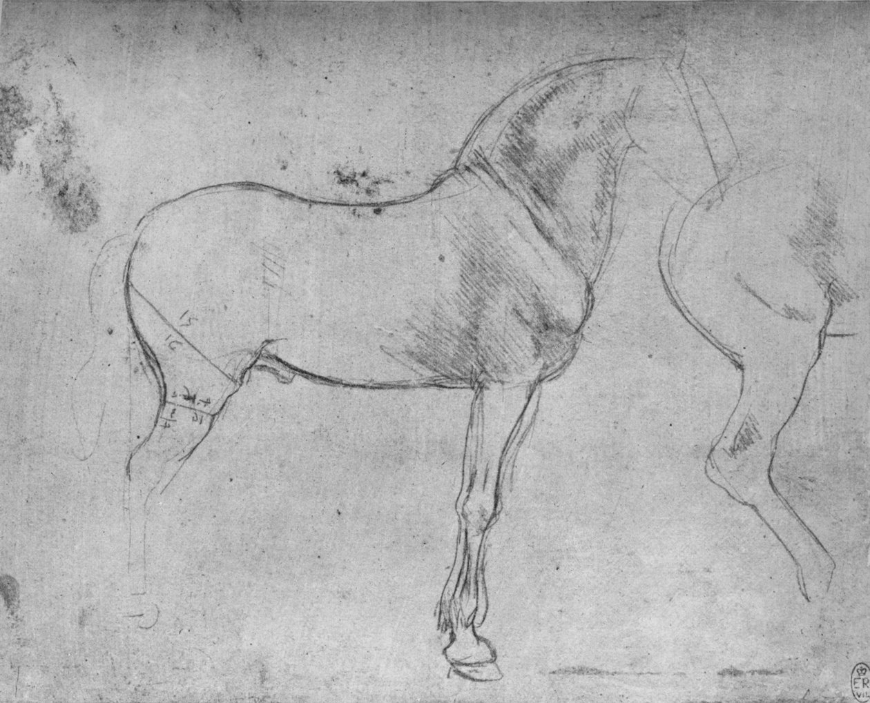 Sağdaki Bir At ve Arka Mahalleleri, c1480 1945 by Leonardo da Vinci