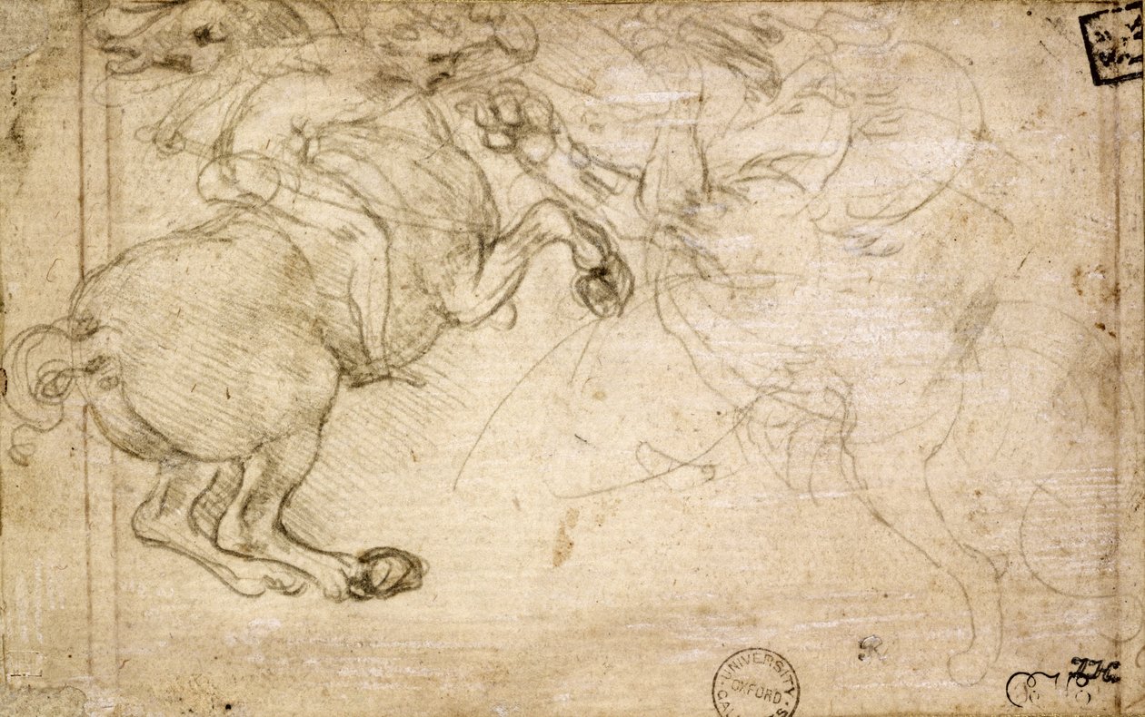 Bir Griffin ile Savaşan Bir Süvari, 16. yüzyıl (kağıt üzerinde gümüş nokta) by Leonardo da Vinci