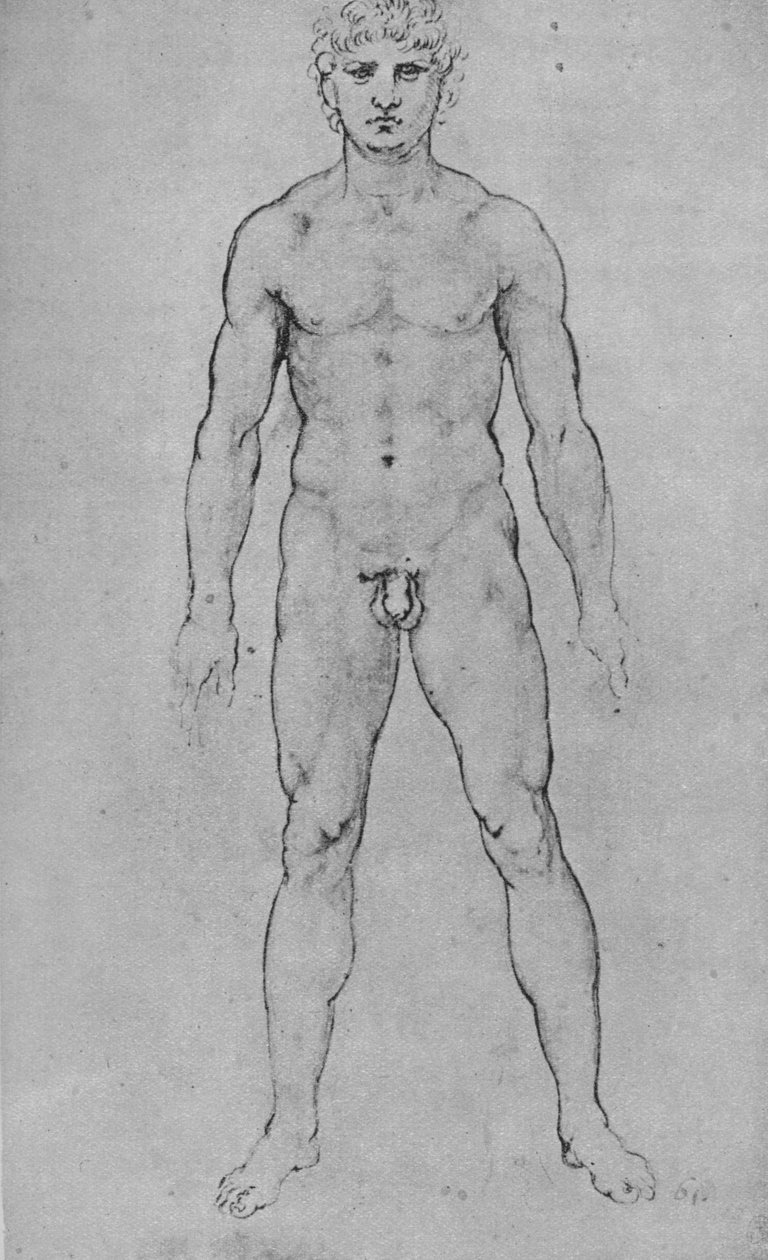 Önden Görülen Çıplak Bir Adam, c1480 1945 by Leonardo da Vinci