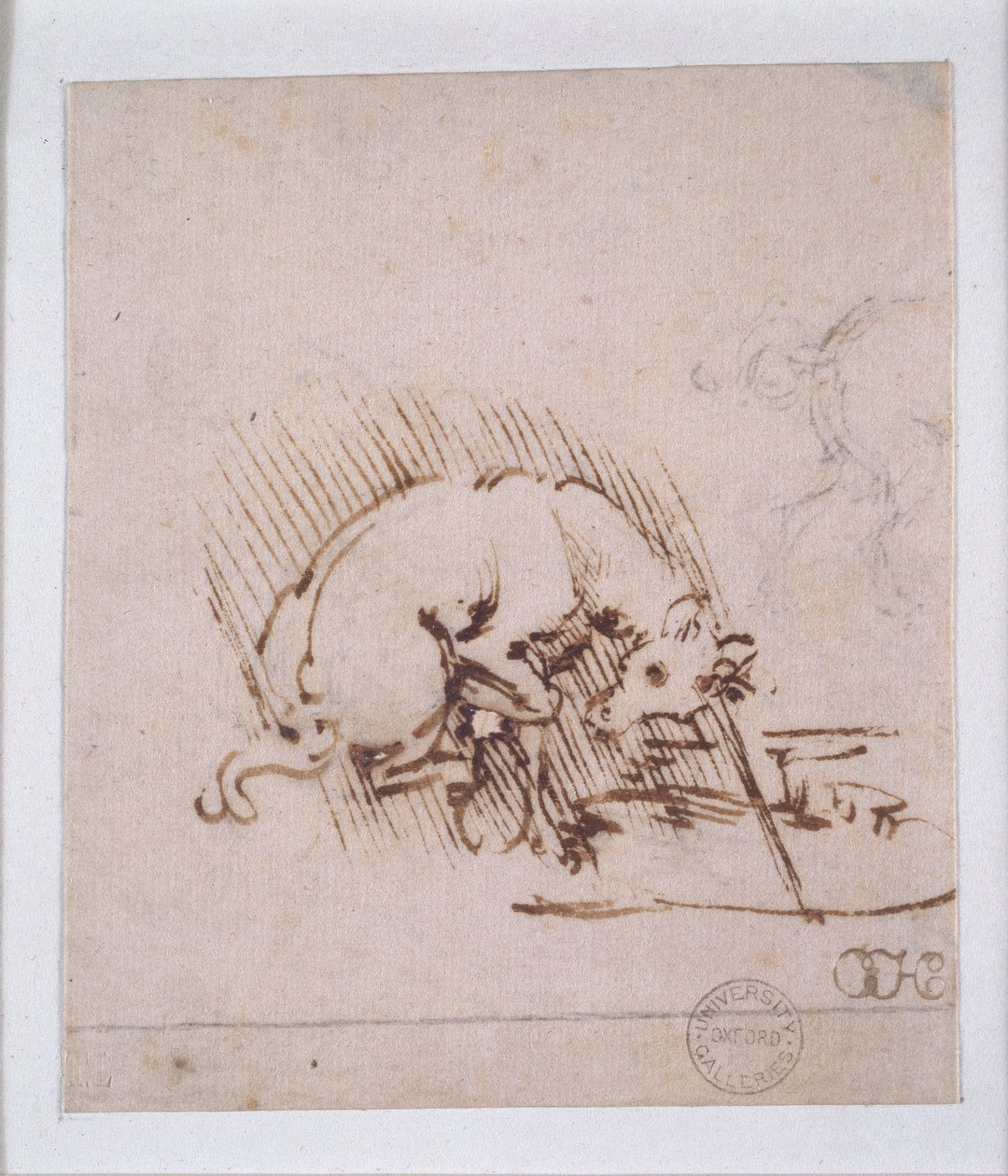 Tek Boynuzlu At, c1472-1519 by Leonardo da Vinci