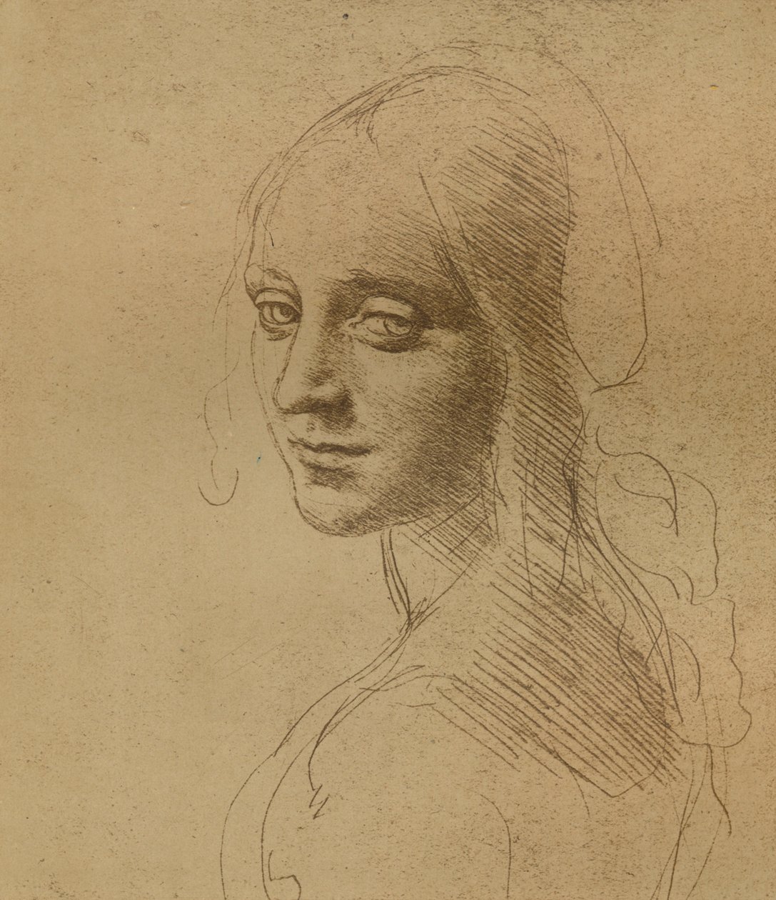 Bir dişi kafa, c1472-c1519 1883, by Leonardo da Vinci