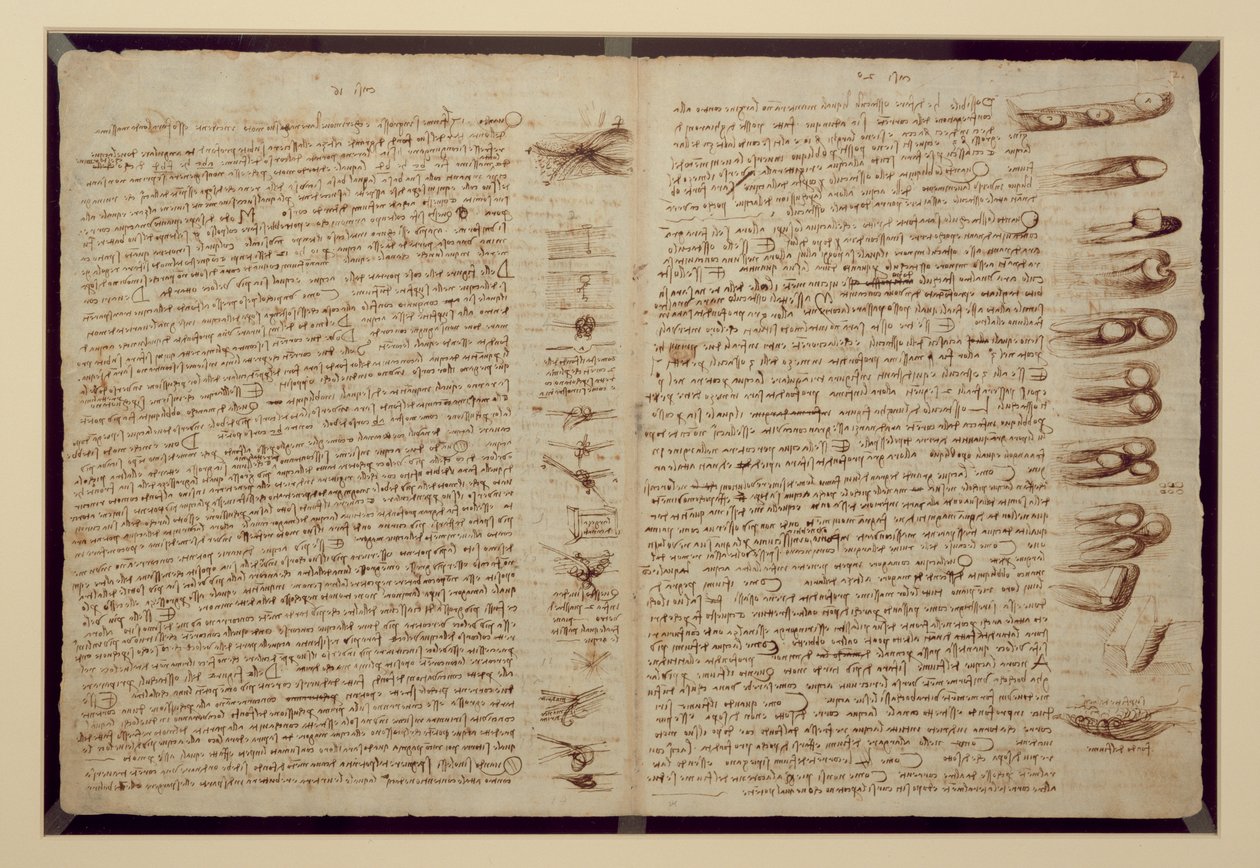 Codex Leicester