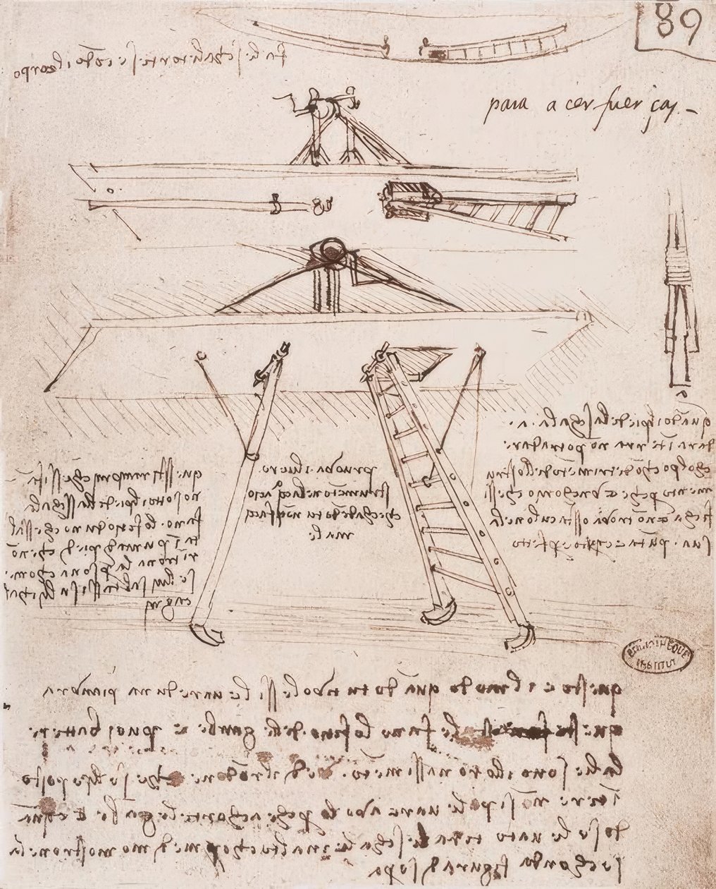 Uçan bir makinenin kalkış ve iniş cihazı by Leonardo da Vinci