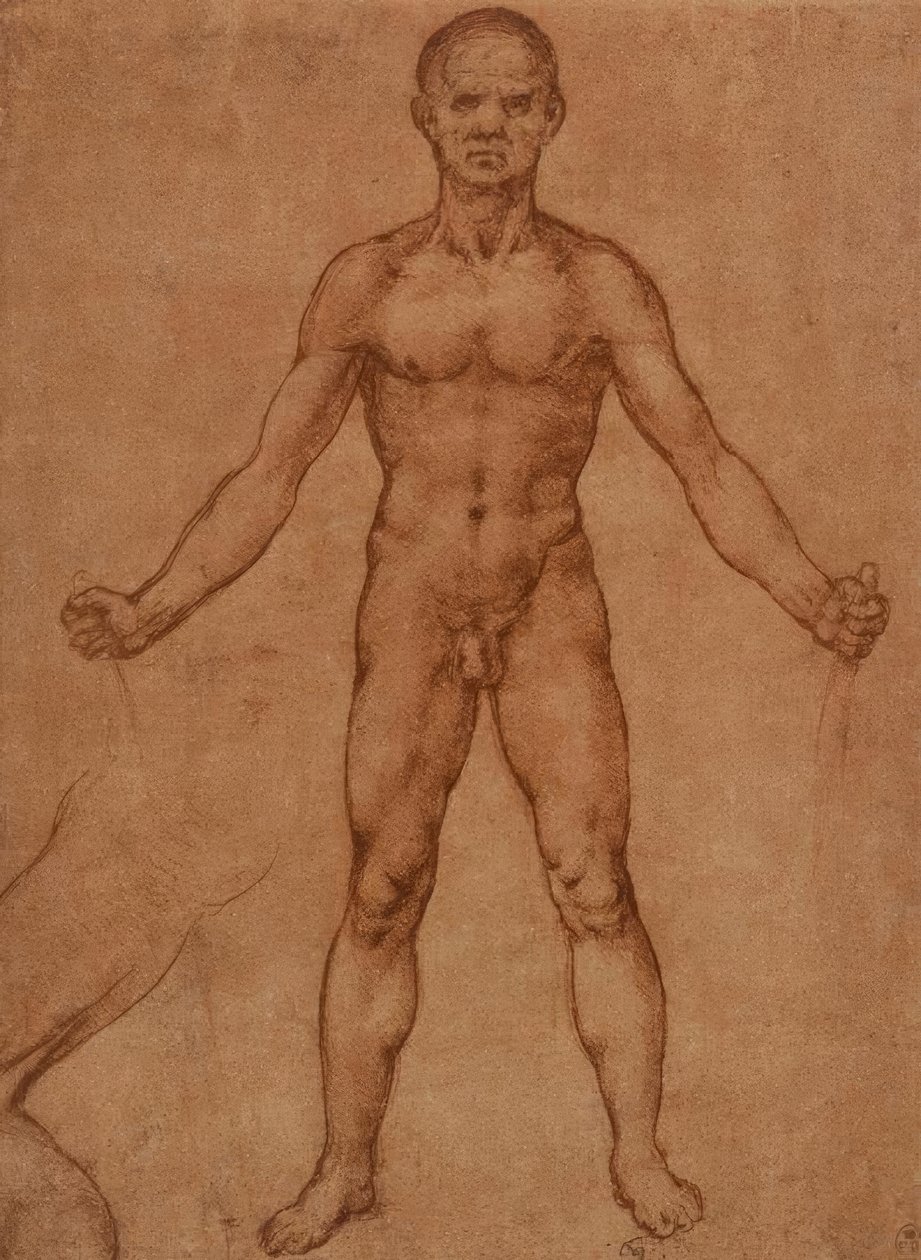 Ayakta duran bir adamın çıplak çalışması, önden by Leonardo da Vinci