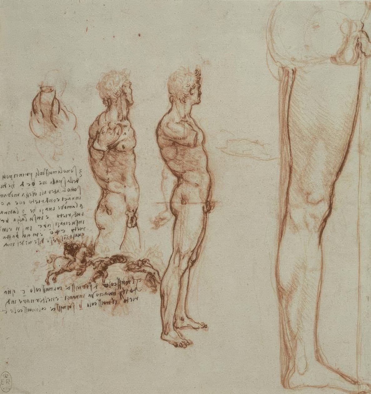 anatomi eğitimi by Leonardo da Vinci