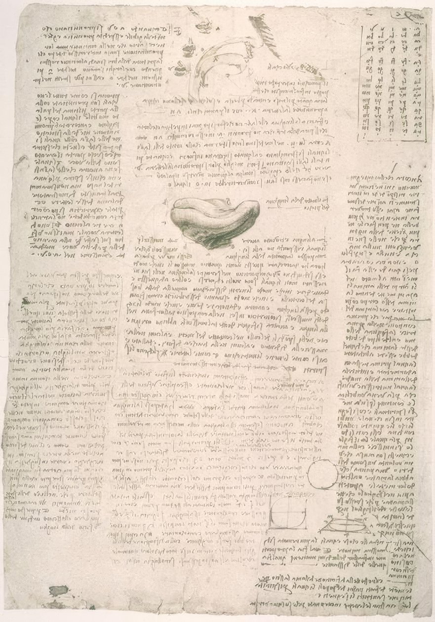anatomi eğitimi by Leonardo da Vinci