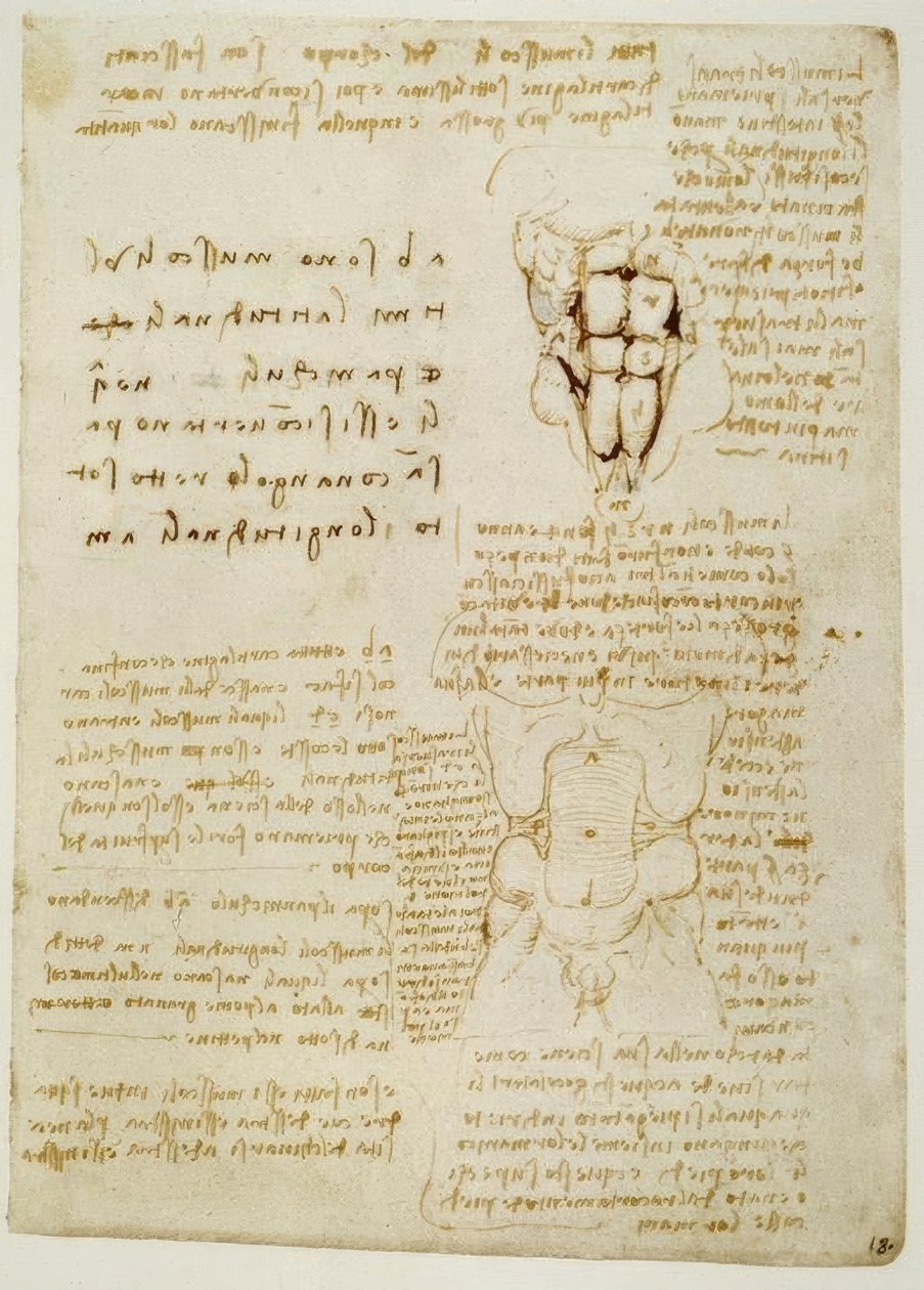 anatomi eğitimi by Leonardo da Vinci