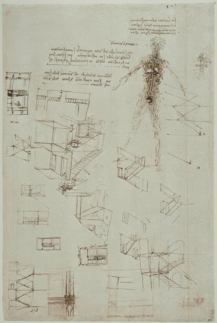 anatomi eğitimi by Leonardo da Vinci