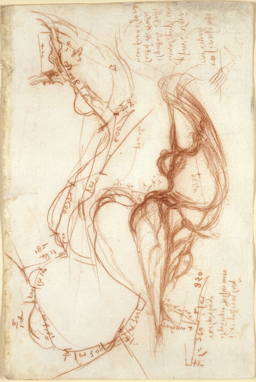Arundel 263, f.149, Arno Nehri
