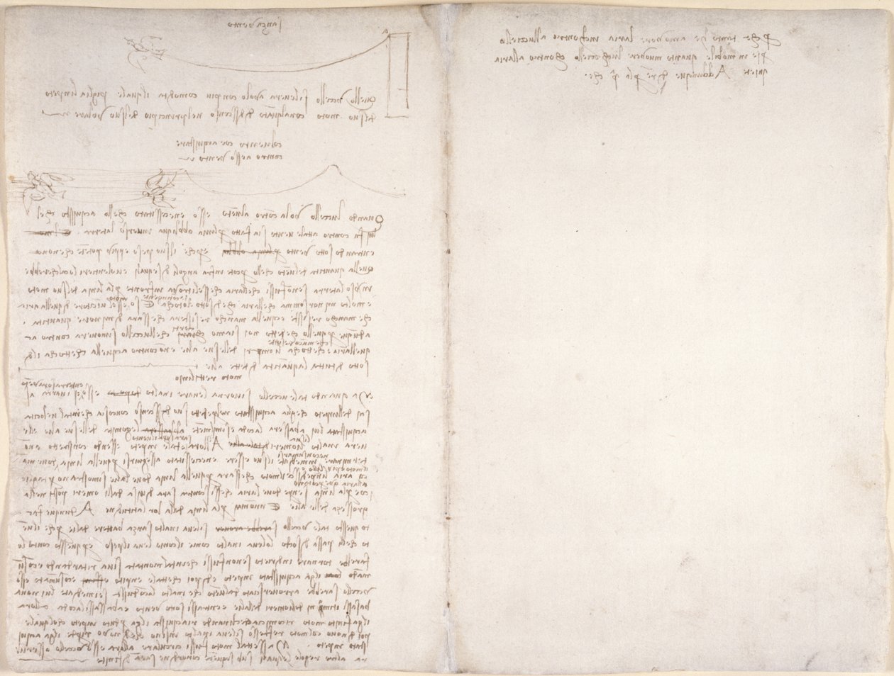 Arundel 263, f.166v, f.163 Kuşların uçuşuyla ilgili notlar ve diyagramlar, 