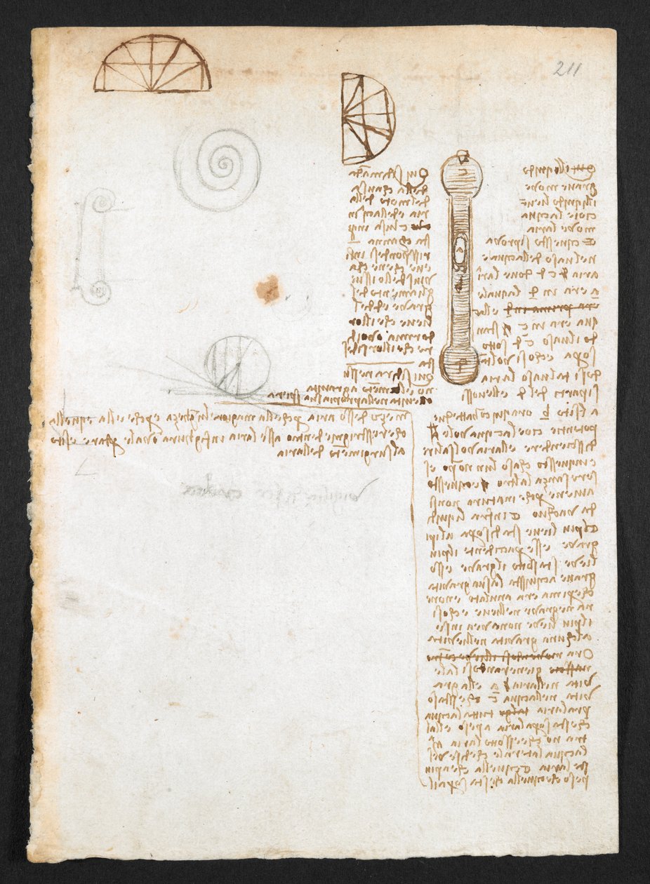 Arundel 263, f.211r 