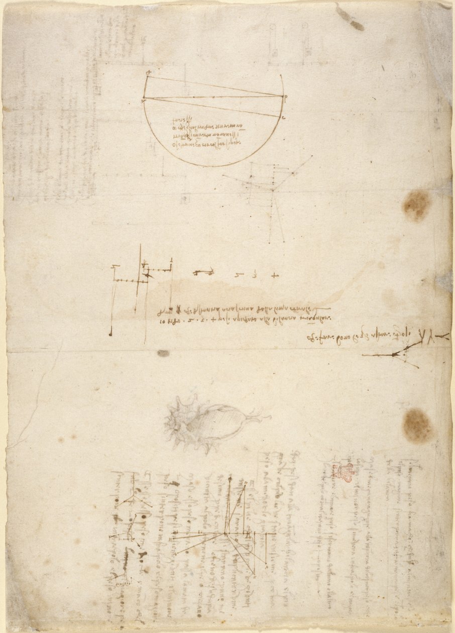 Arundel 263, f.33v 