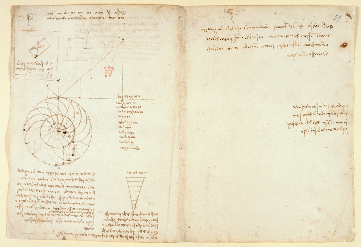 Arundel 263 f.44v, f.59 Profilde bir yüzün bir gözü ve bir burnu taslağı; 
