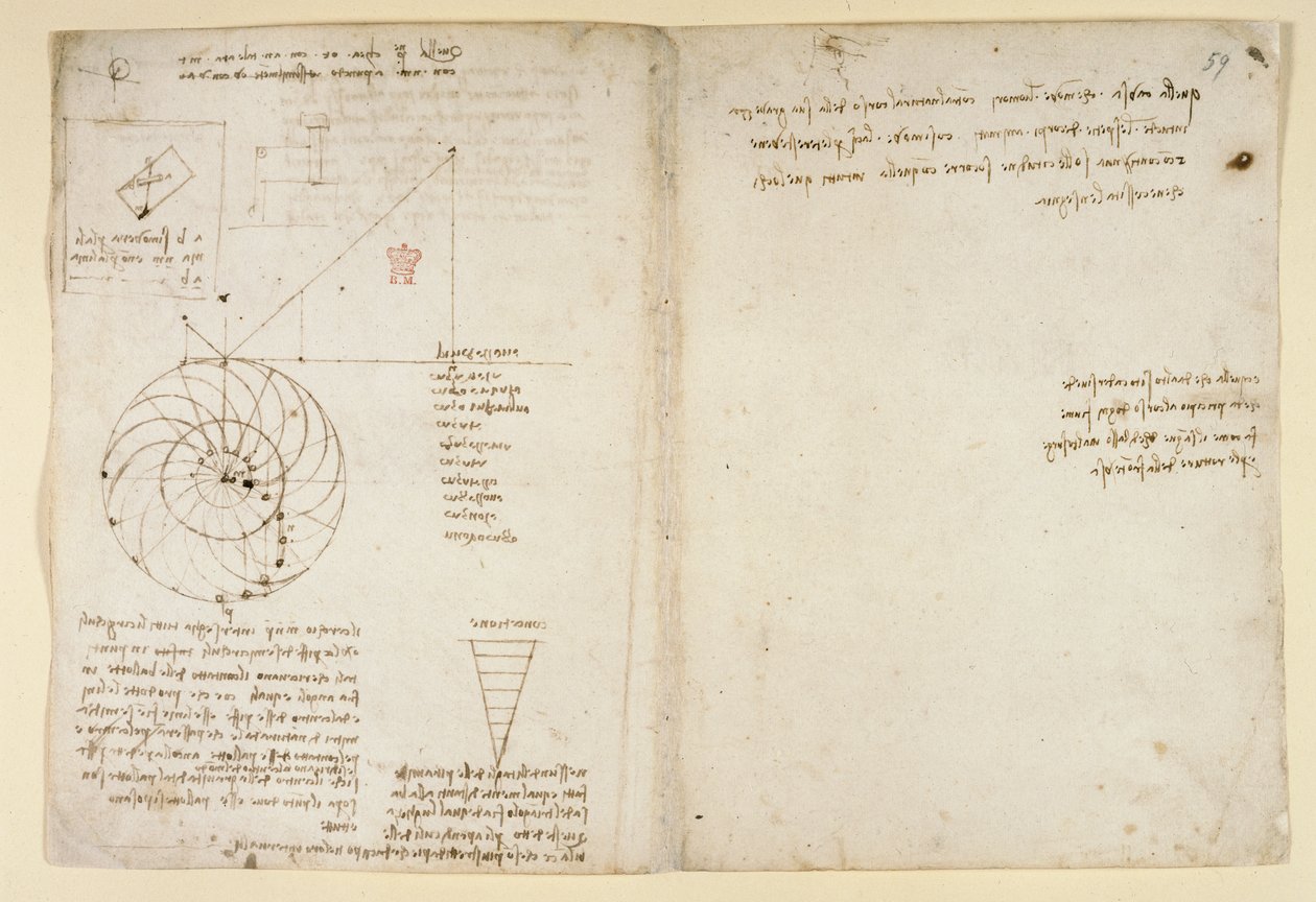 Arundel 263, f.44v, f.59 Profilde bir yüzün bir göz ve bir burnu taslağı; 