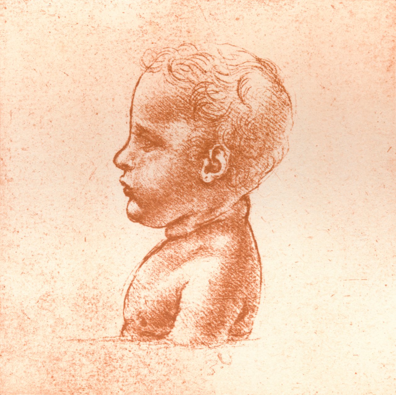 Bir çocuğun büstü, c1472-c1519 1883 by Leonardo da Vinci