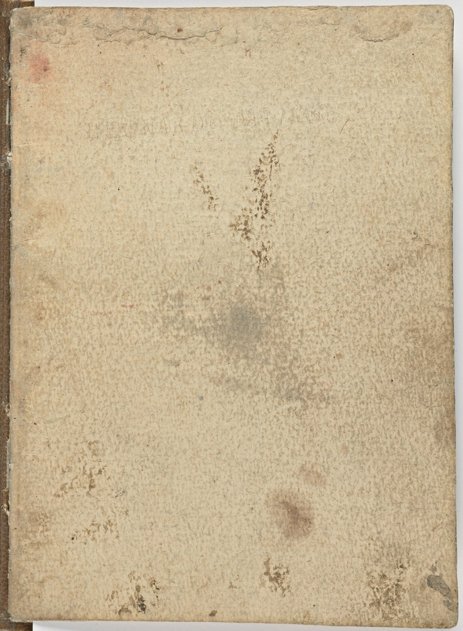 Kuşların uçuşuna ilişkin kod, c. 1505-06, kağıt el yazması, cc. 18, Kapak I by Leonardo da Vinci