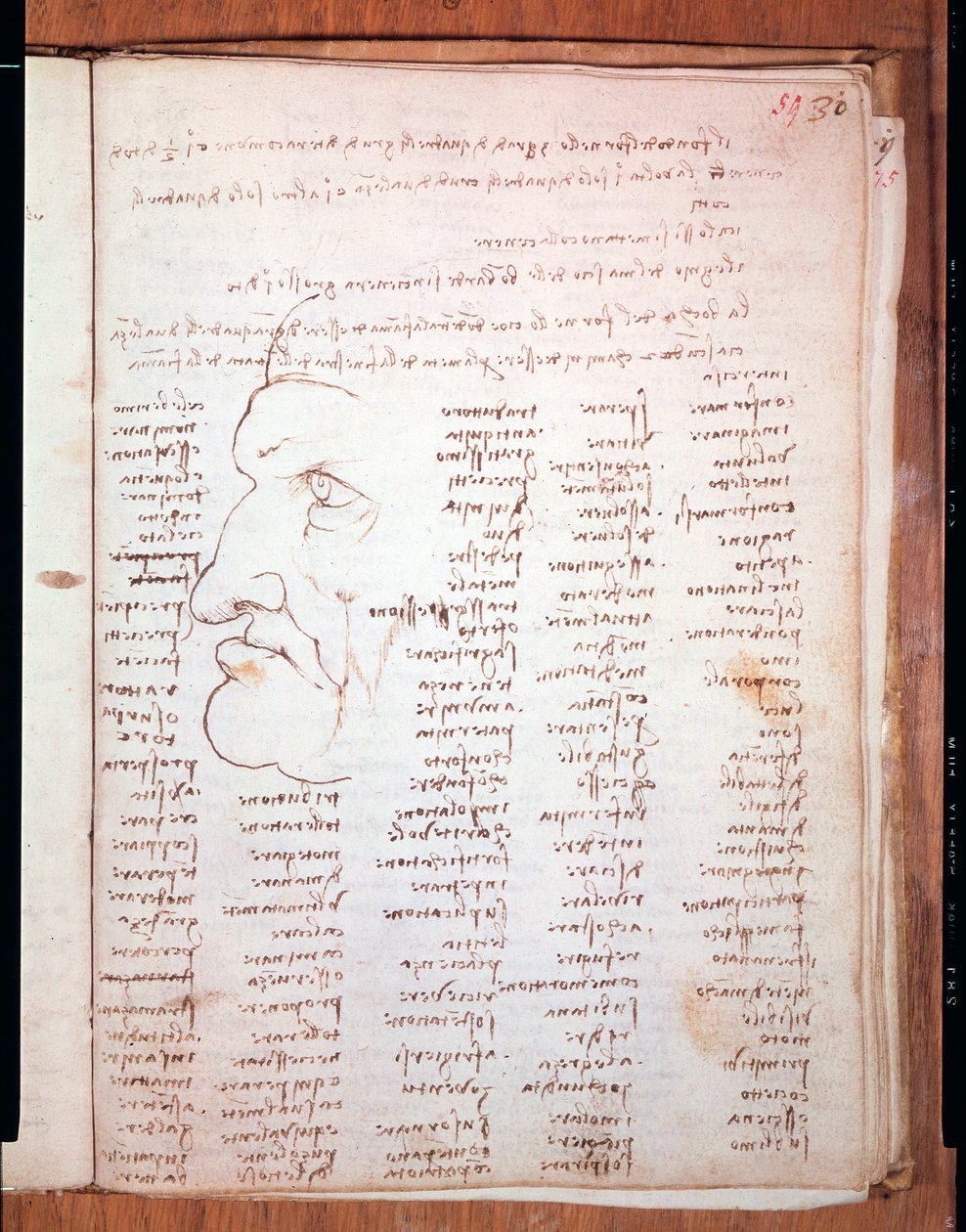 Codex Trivulziano, Leonardo da Vinci (Leonardo da Vinci) (1452 - 1519) - Trivulziana Kütüphanesi, Milano by Leonardo da Vinci