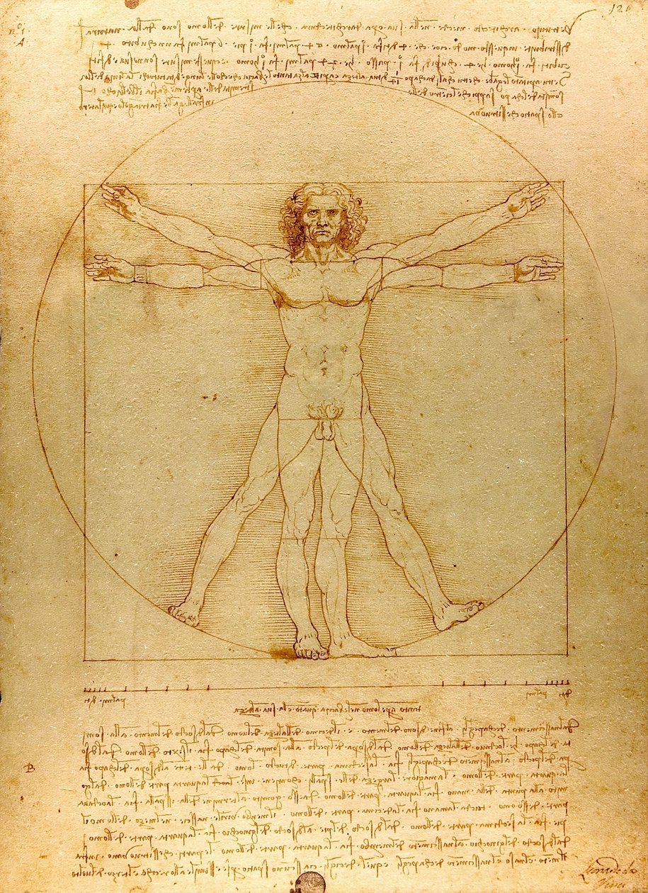  by Leonardo da Vinci