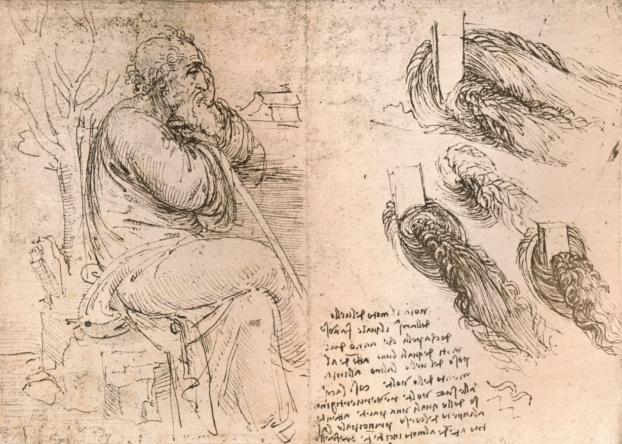 Bukleler halinde düşen saçın temsilini gösteren çizim, c1472-c1519 1883 by Leonardo da Vinci