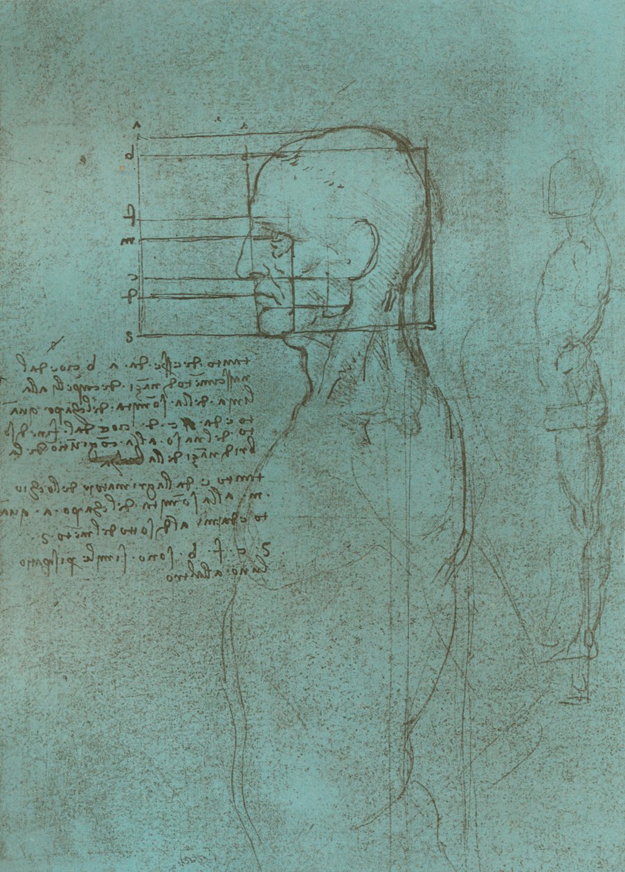 İnsan figürünün oranları teorisini gösteren çizim, c1472-c1519 1883. by Leonardo da Vinci