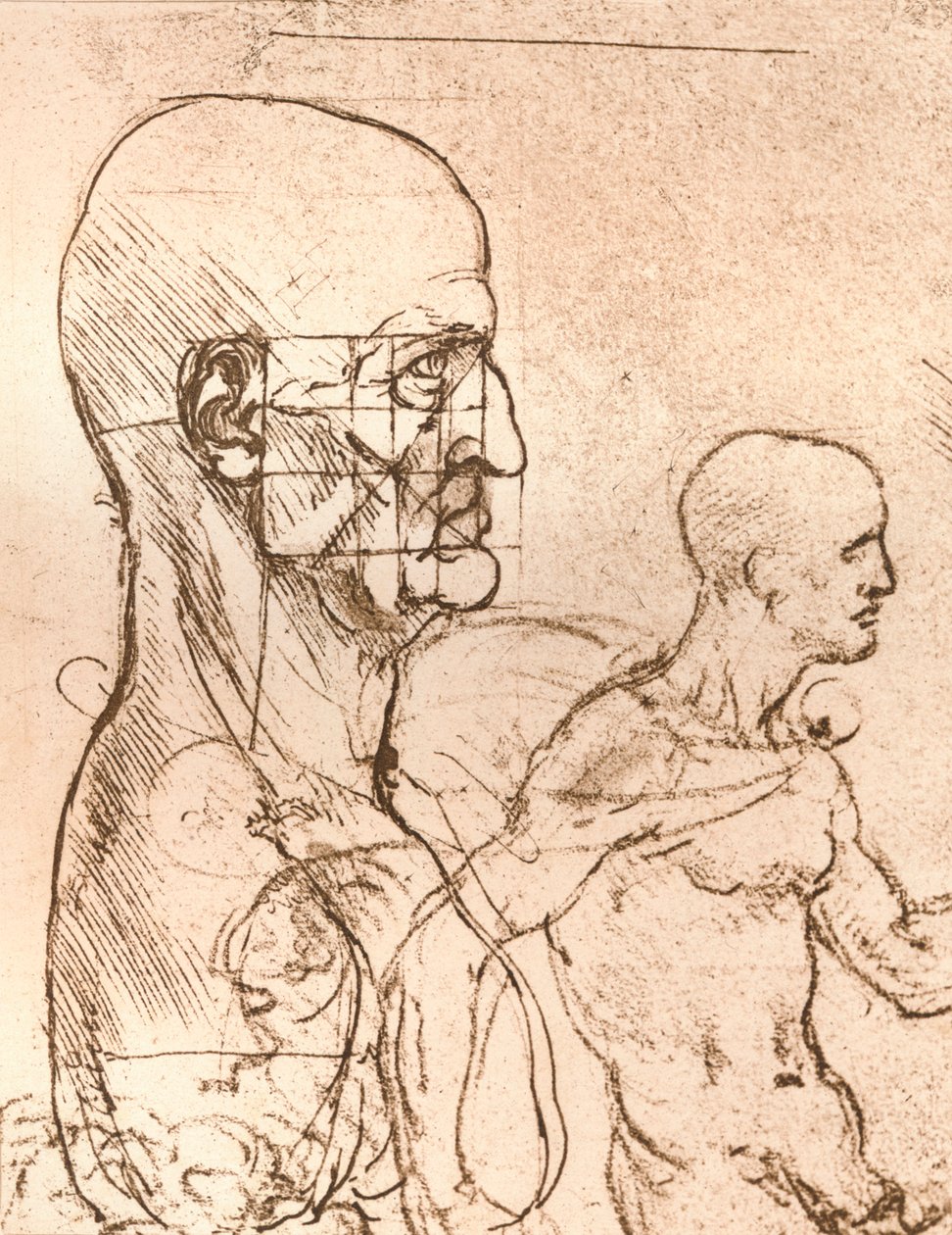 İnsan figürünün oranları teorisini gösteren çizim, c1472-c1519 1883 by Leonardo da Vinci