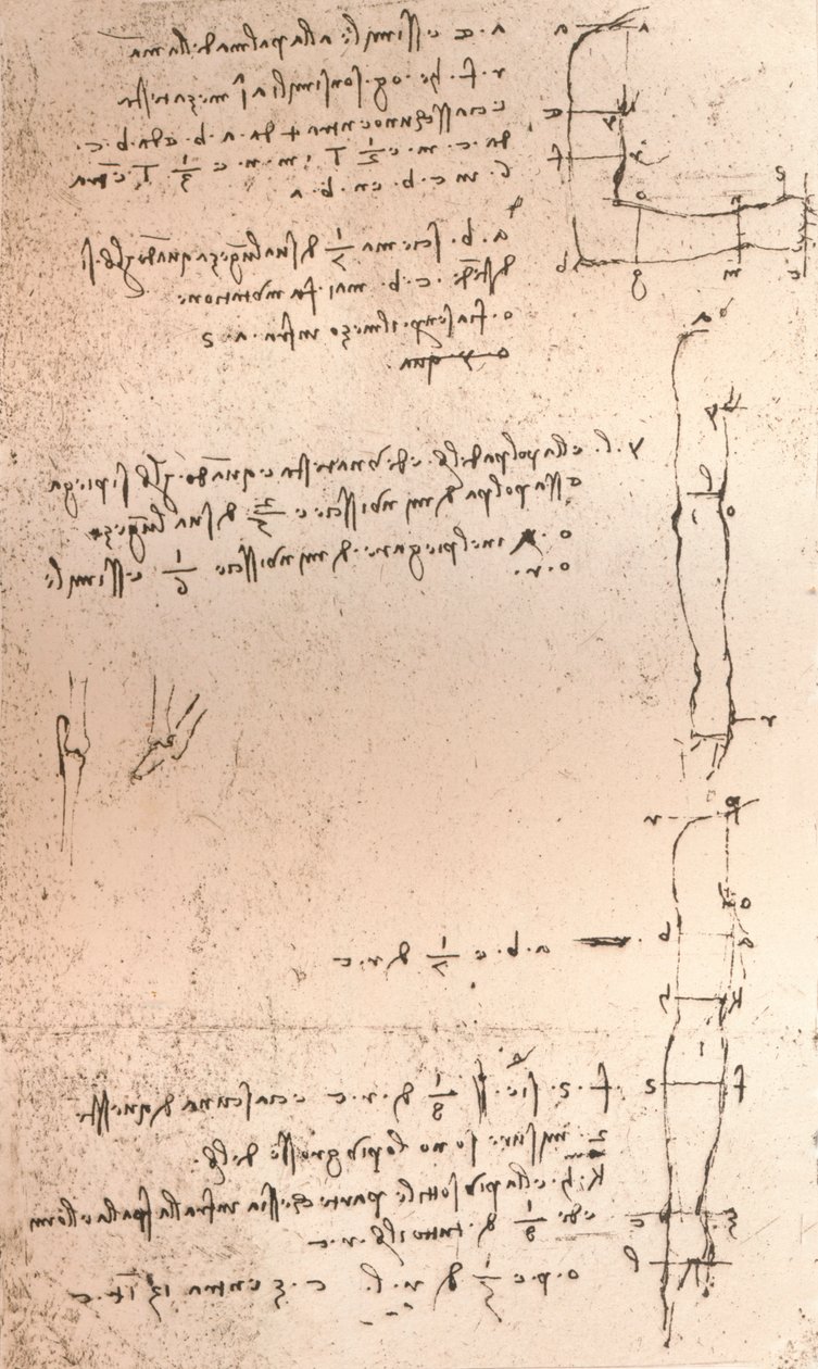 İnsan figürünün oranları teorisini gösteren çizim, c1472-c1519 1883 by Leonardo da Vinci