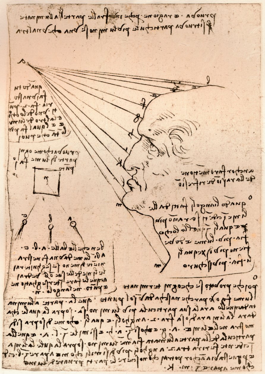 Resim pratiğini gösteren bir erkek kafa çizimi, c1472-c1519 1883 by Leonardo da Vinci