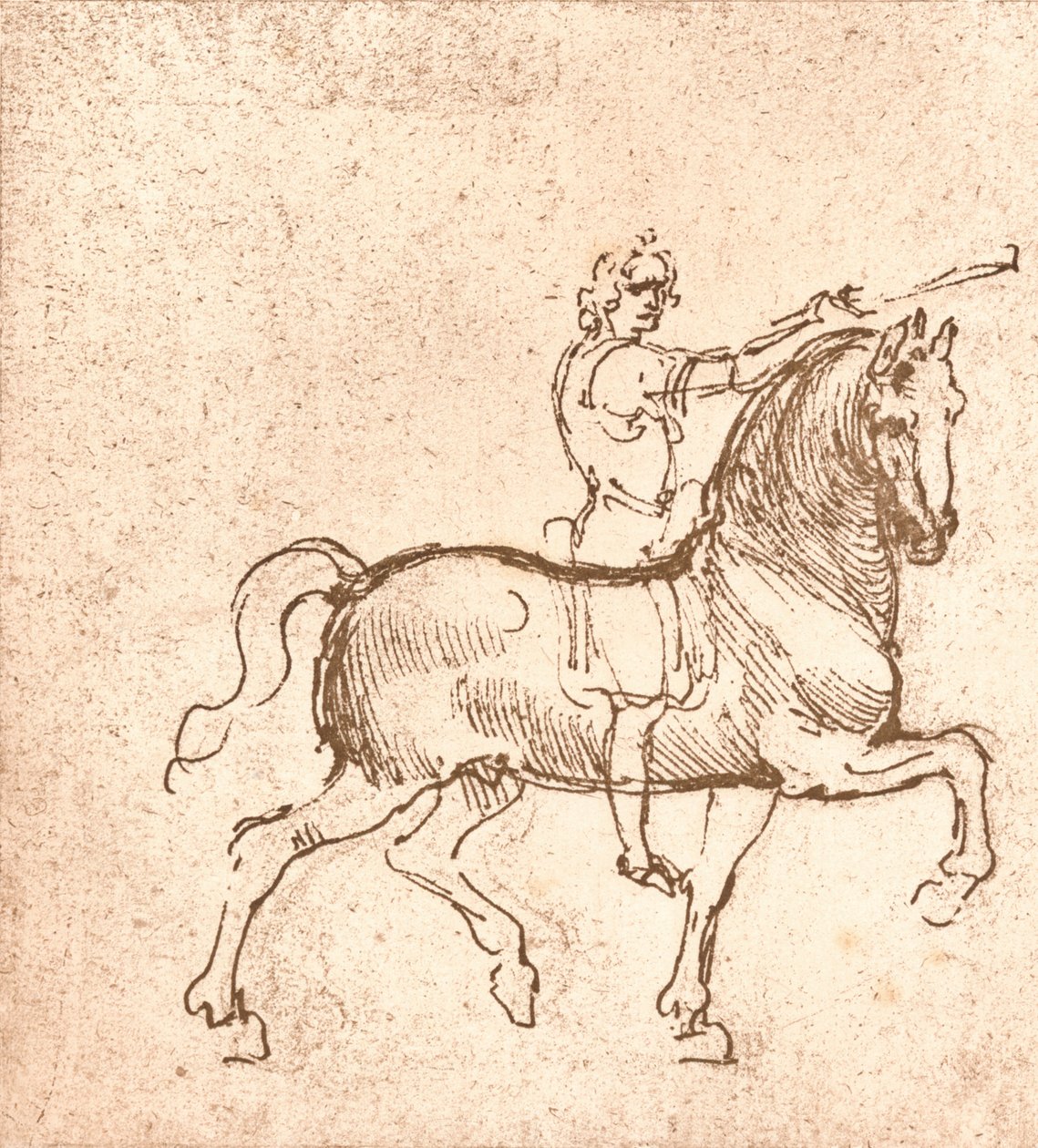 Yürüyen bir at çizimi, c1472-c1519 1883 by Leonardo da Vinci