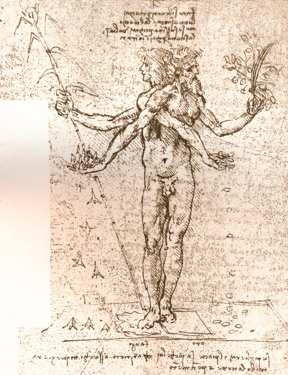 Alegorik bir kompozisyon çizimi, c1472-c1519 1883 by Leonardo da Vinci