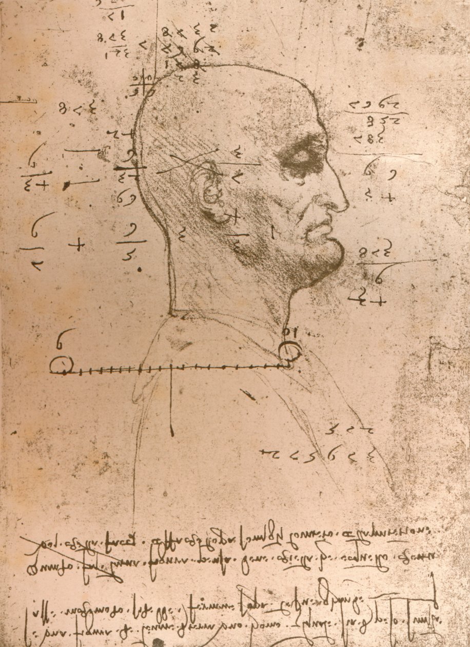 Bir suçlunun kafasının çizimi, c1472-c1519 1883 by Leonardo da Vinci