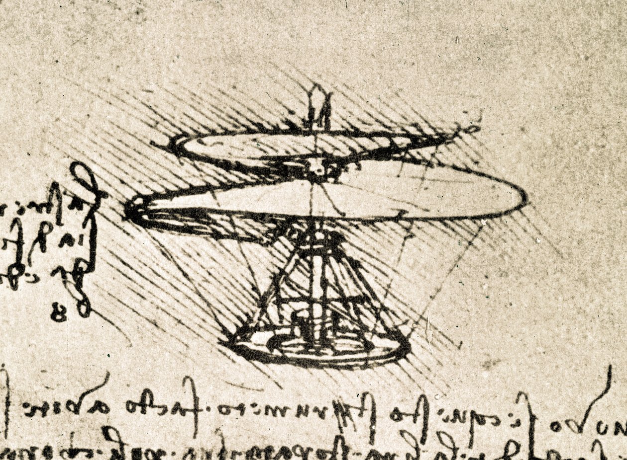  by Leonardo da Vinci