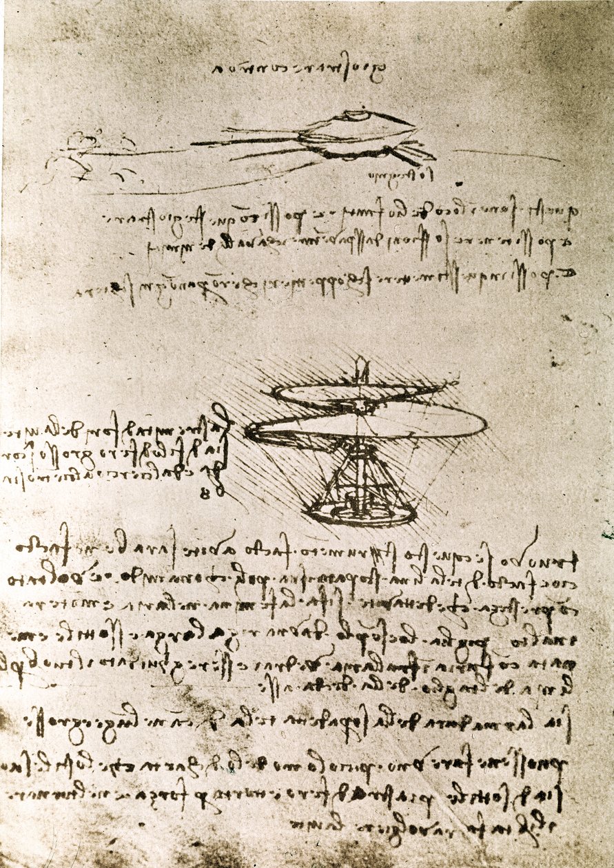  by Leonardo da Vinci