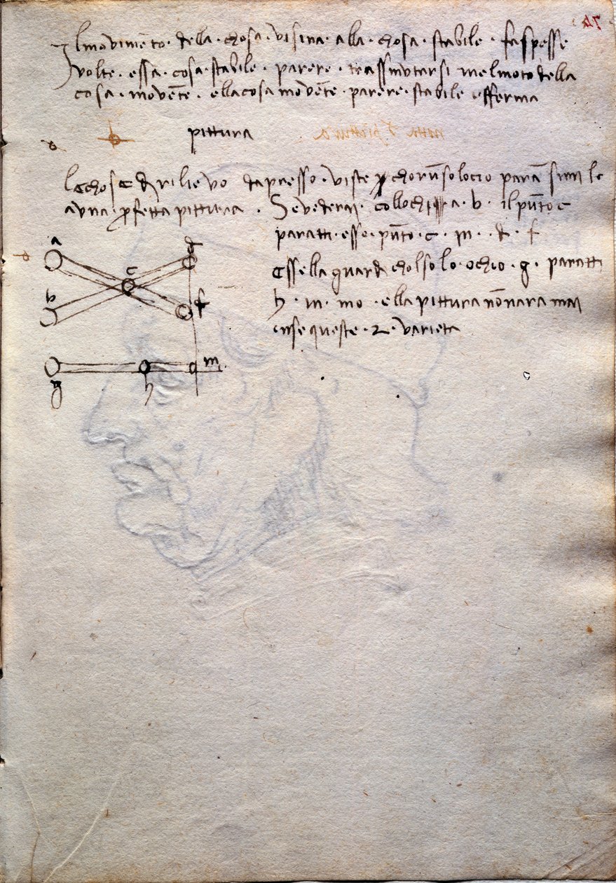 Codex Trivulzianus'tan resim kitabından alıntı by Leonardo da Vinci