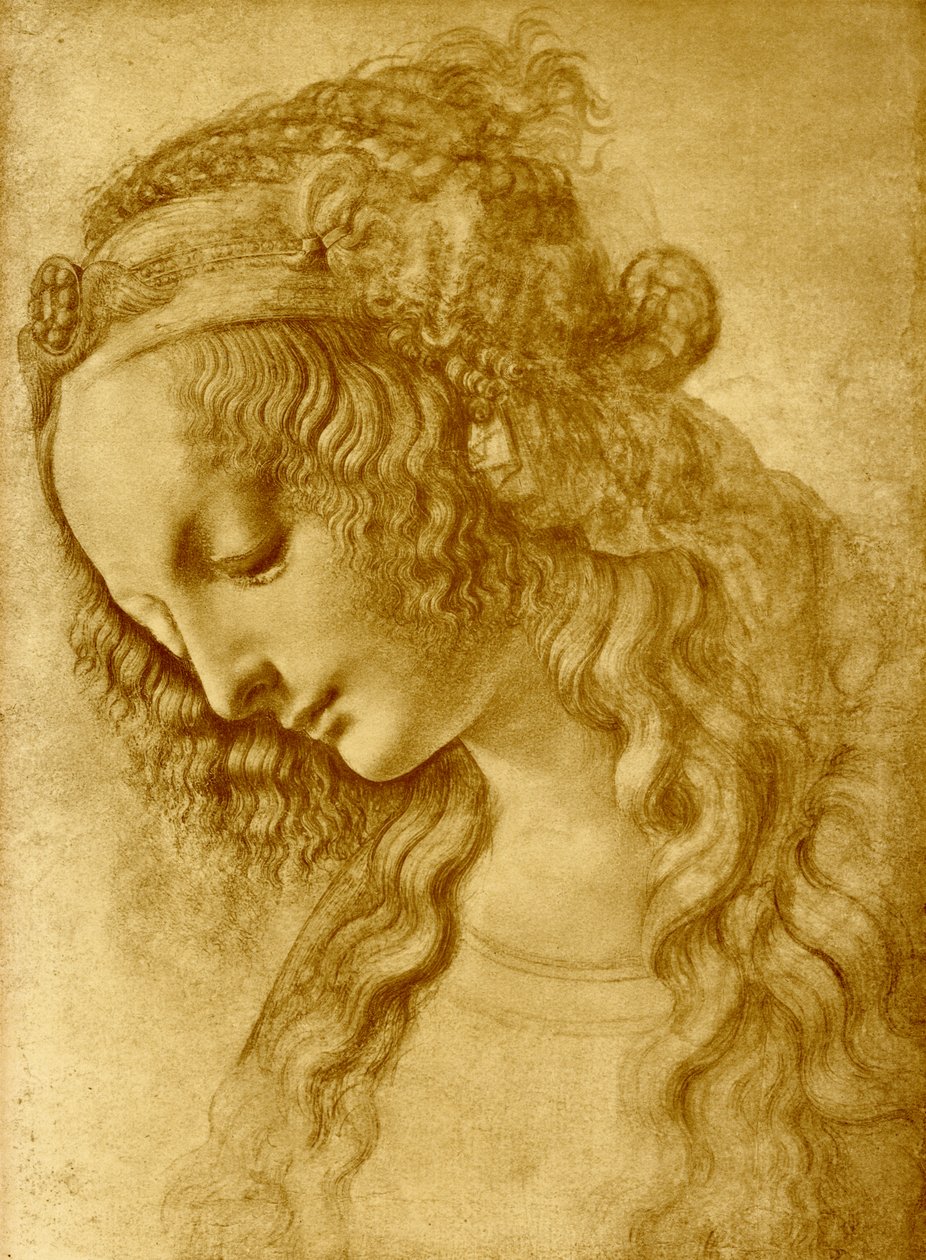 kadın kafa by Leonardo da Vinci