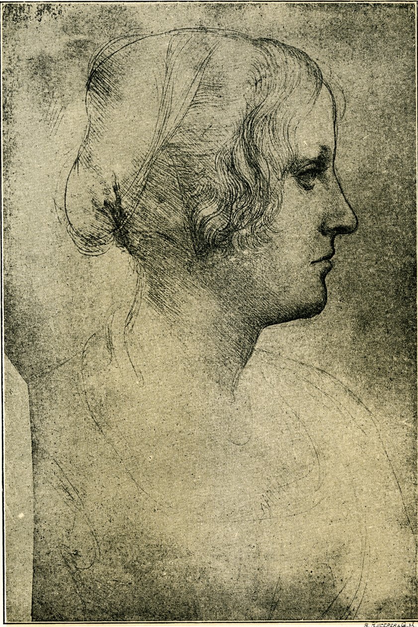 kadın profil kafa by Leonardo da Vinci