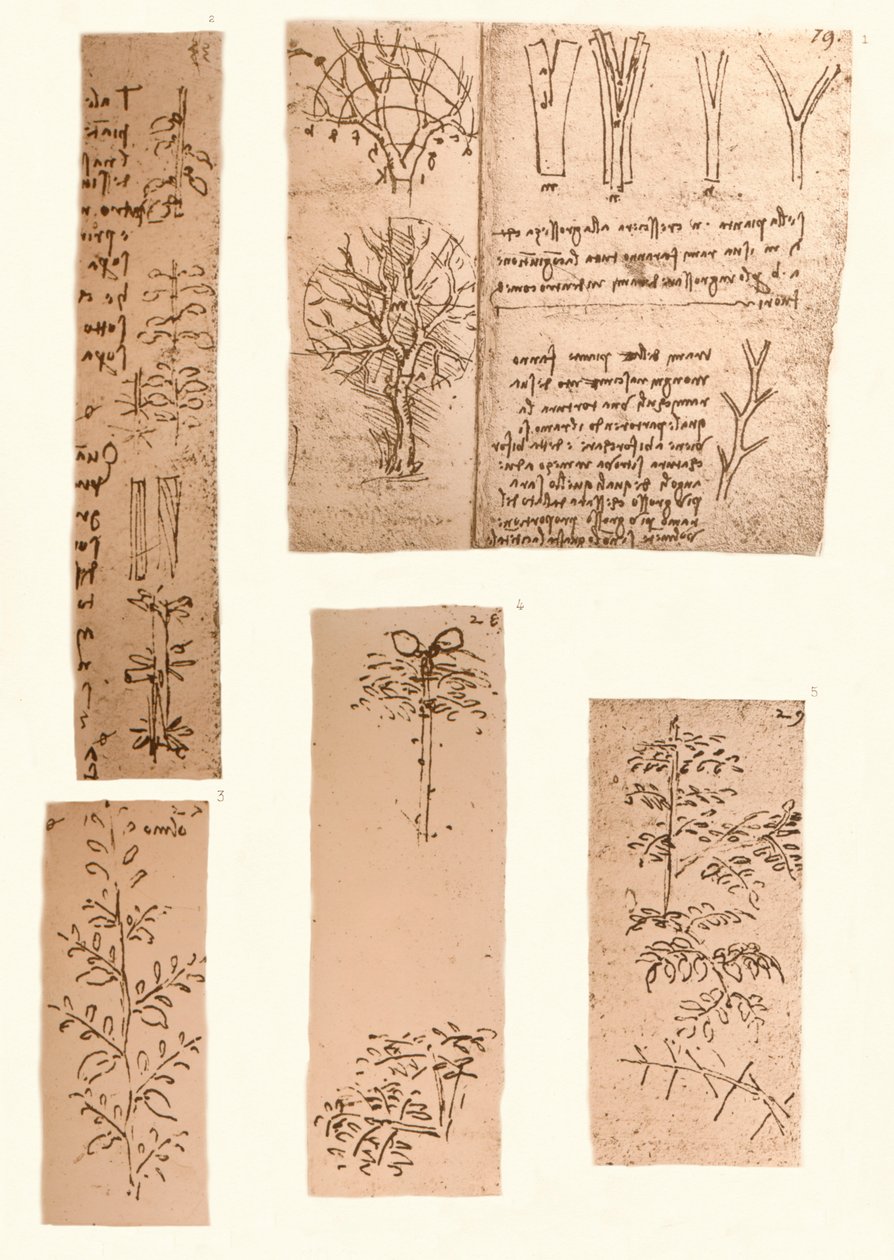 Manzara resminin unsurlarını gösteren beş çizim, c1472-c1519 1883 by Leonardo da Vinci