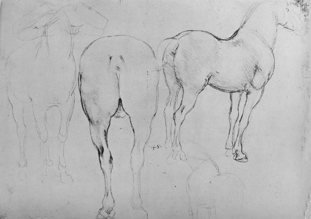 Dört At Çizimi, c1480 1945 by Leonardo da Vinci